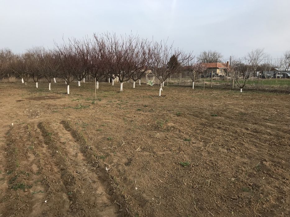 Продава се Парцел в Силистра, Север - 1278 кв.м за 12 €/кв.м - Снимка #1