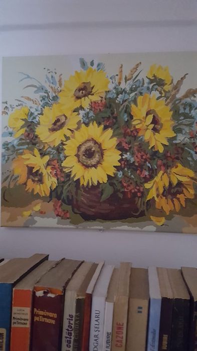 Pictura pe numere