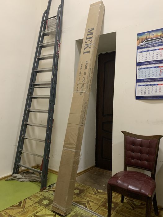 MAGNA Tripod Screen 270x300