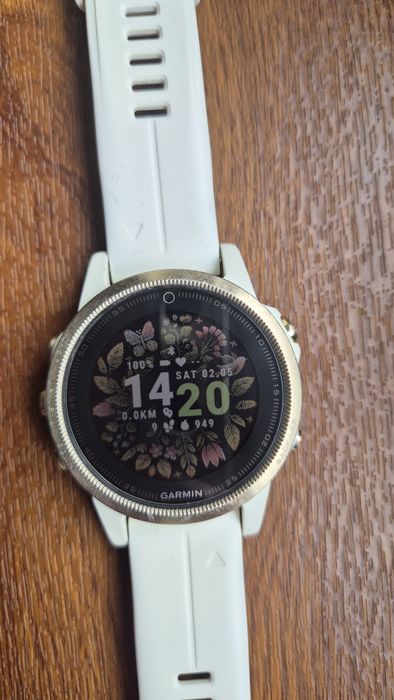 Garmin Fenix 5S Sapphire