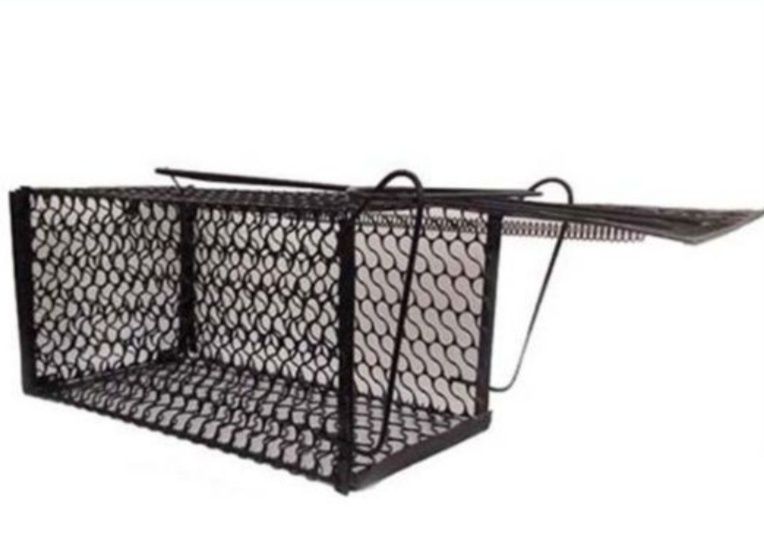 Ловушка для крыс (Qopqon)