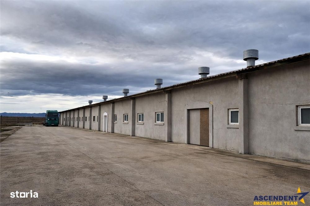 Hala versatila,spatii cazare, platforma betonata,1.150 mp teren,Halchi