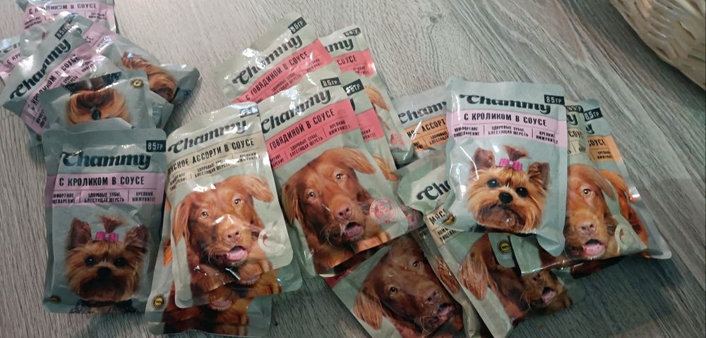 Корм для собак влажный