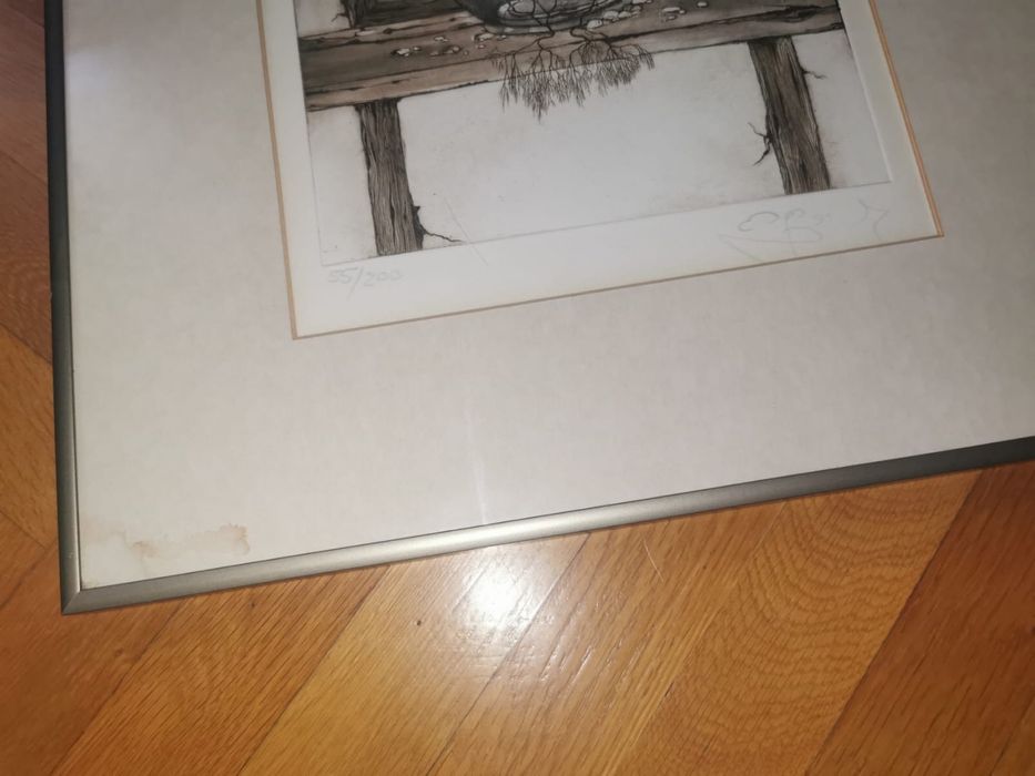 Антикварни картини цветни литографии авторски лимитирани в рамка  2 бр