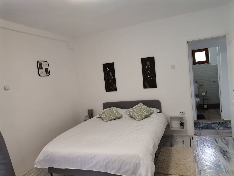 Cazare apartamente de familie cu bucătărie proprie, in vilă, Bușteni
