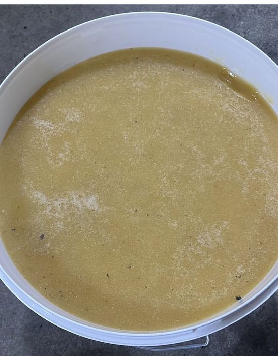 Мёд оптом 2025 года