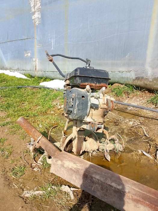 Жетілмеген порно