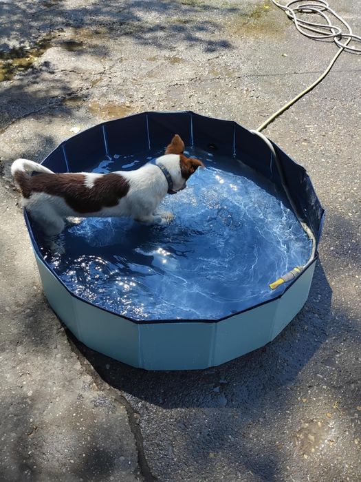 Подарява се бебе Бък