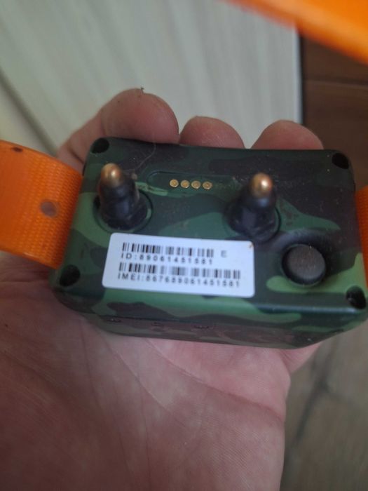 GPS за проследяване и обучение на кучета