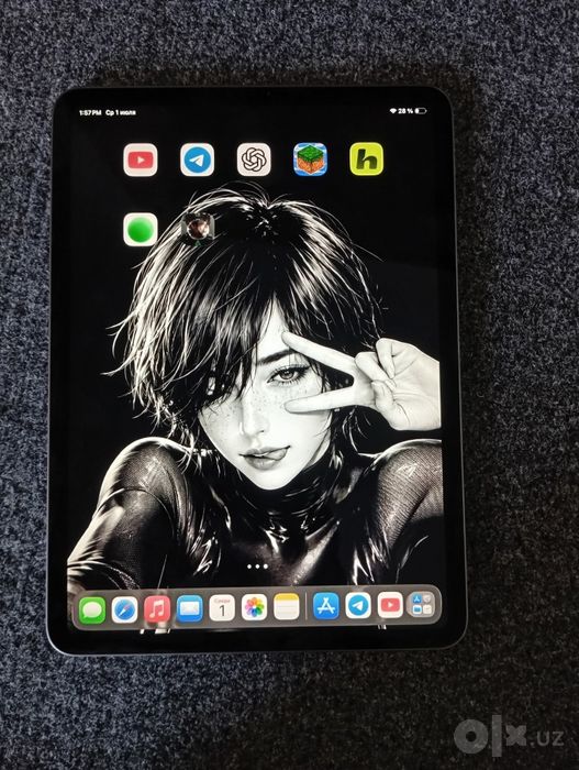 Ipad pro 11 ( wifi)