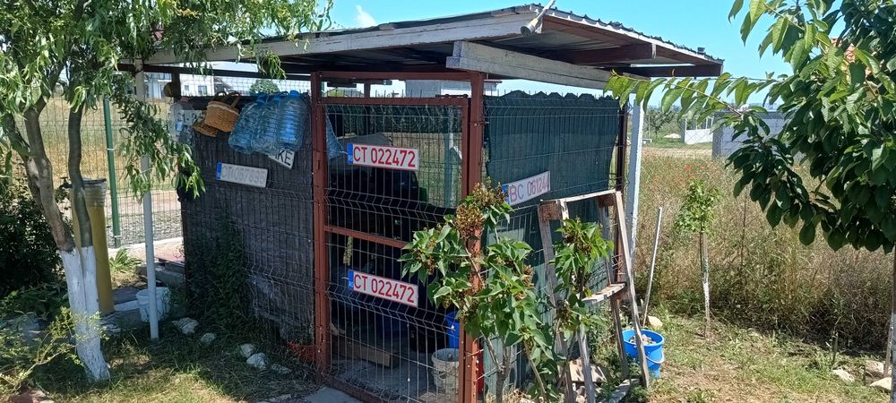 Cusca voliera pentru animale