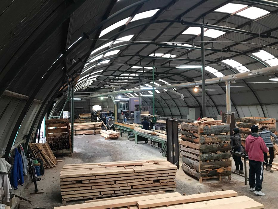 TEREN/hala de prelucrare lemn cherestea