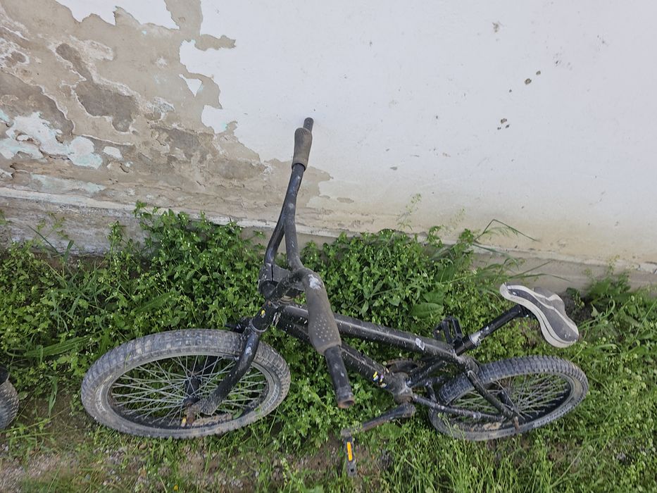 Продам 3 велика .