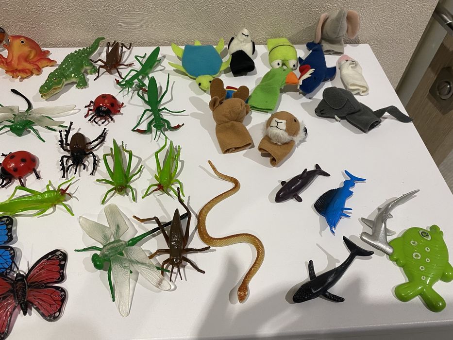 Животные, насекомые, динозавры