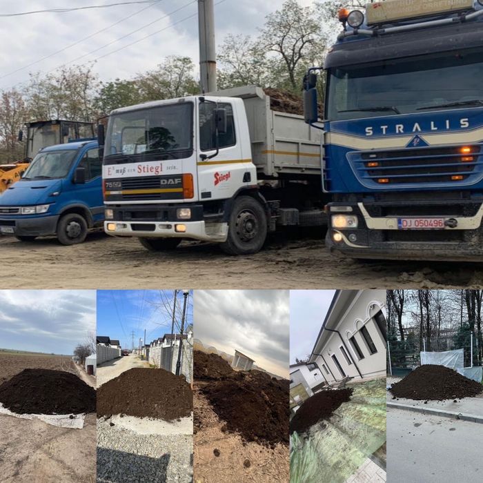 Sort/nisip/pamant negru/spatii verzi/padure/compost/mranita 6/40 tone