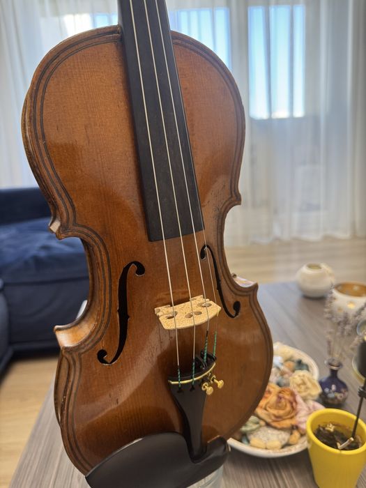 Vand vioara intreaga 4/4 model Maggini