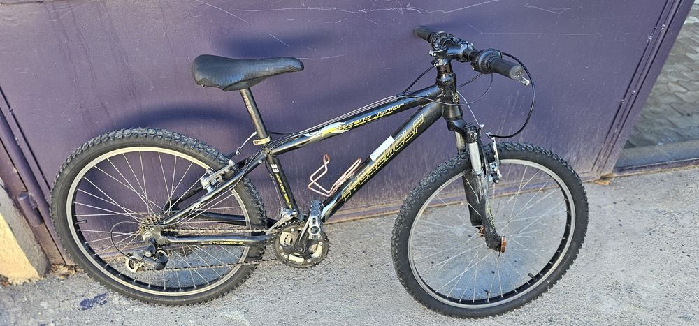 Bicicleta copii roti 24