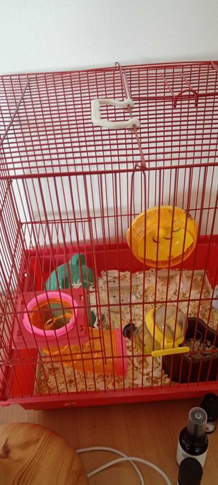 Vând hamster+cușcă
