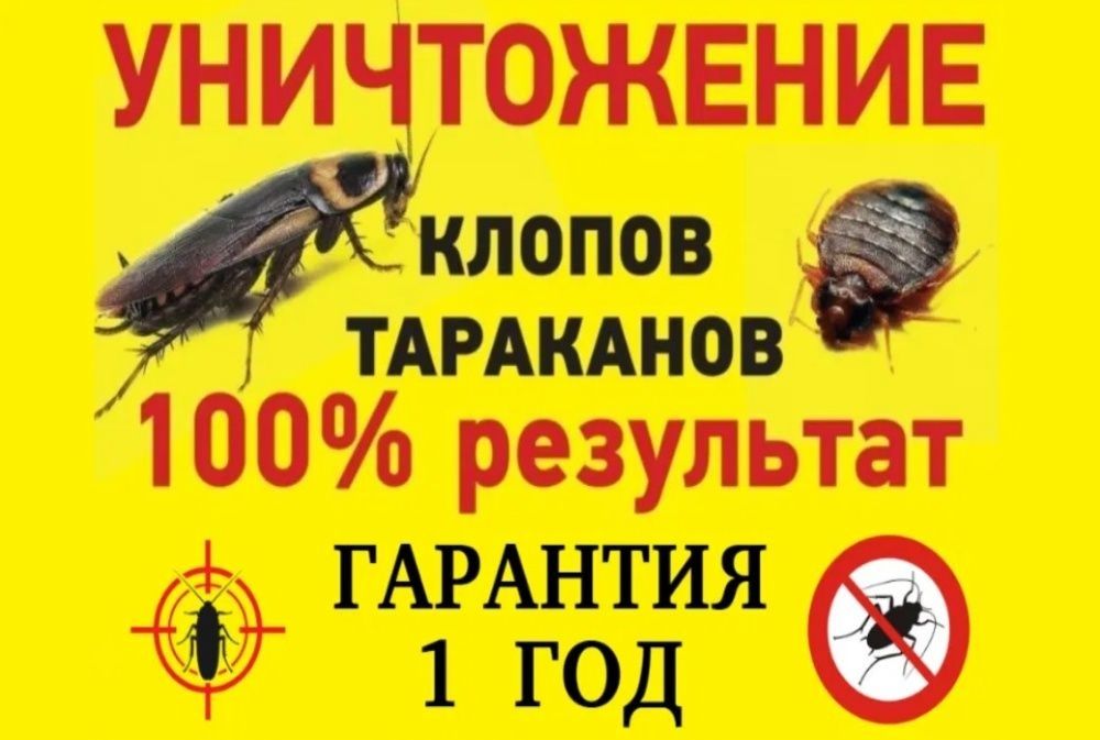 За полцены Дезинфекция от клопов дизинфекция dezinfeksiya