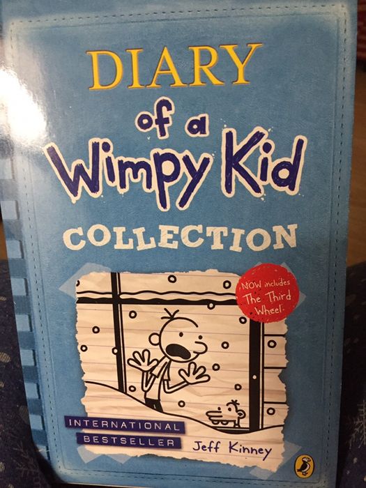 Set carti engleza Jurnalul unui Pusti