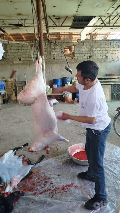 Qassob xizmati/qassobchilik xizmati