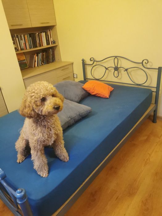 Легло от масивно ковано желязо. 120/190