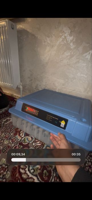 ibkubator bor manzil samarqand pastarğom charxin