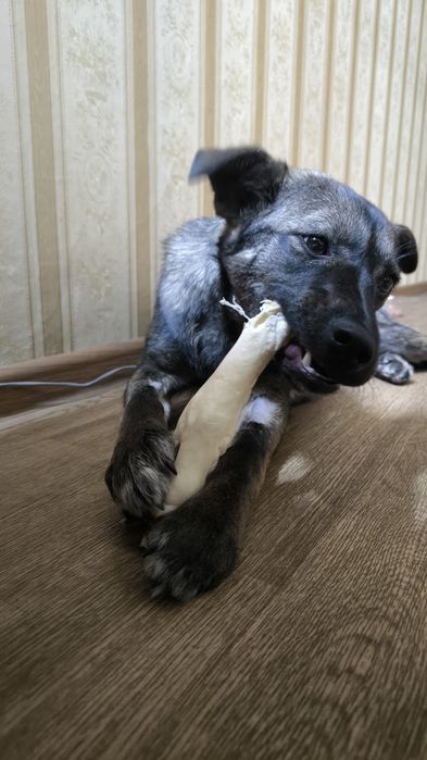 Девочка в ответственные руки