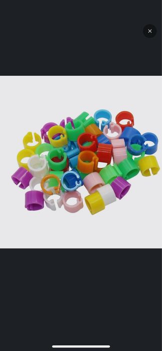 Продам Кольца для голубей