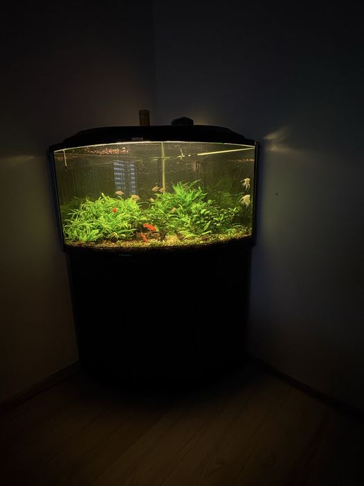 Acvariu Aquael trigon