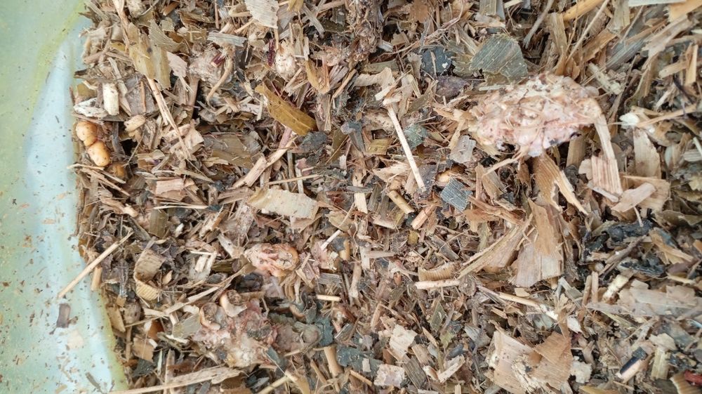 Donlik slos bor optim narxlarda