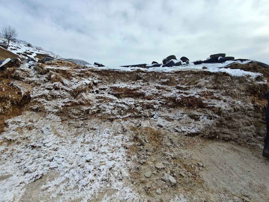 Siloz de porumb 2025