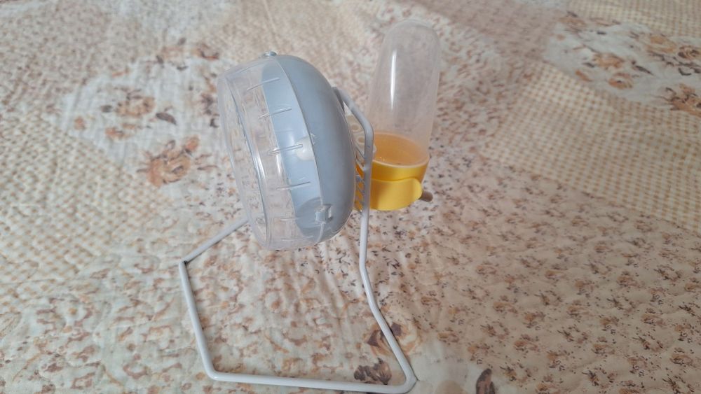 Accesorii hamsteri