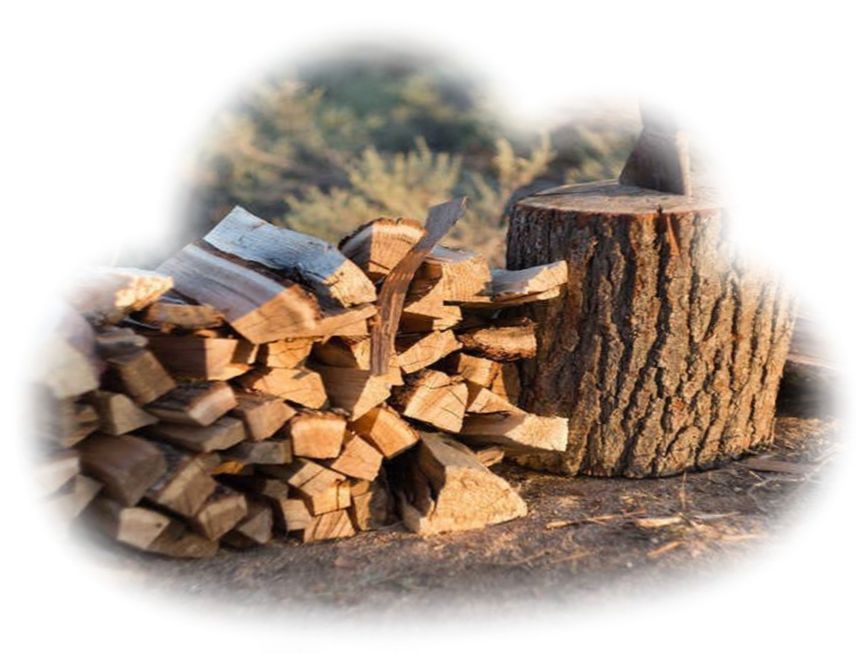 Продам дрова для всяких нужд