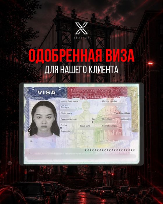 Виза в США B1 B2 F1