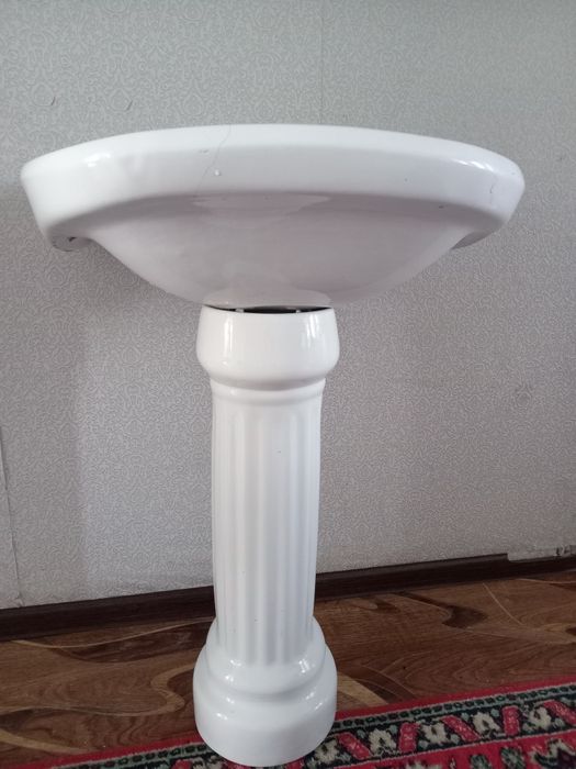 Раковина тюльпан