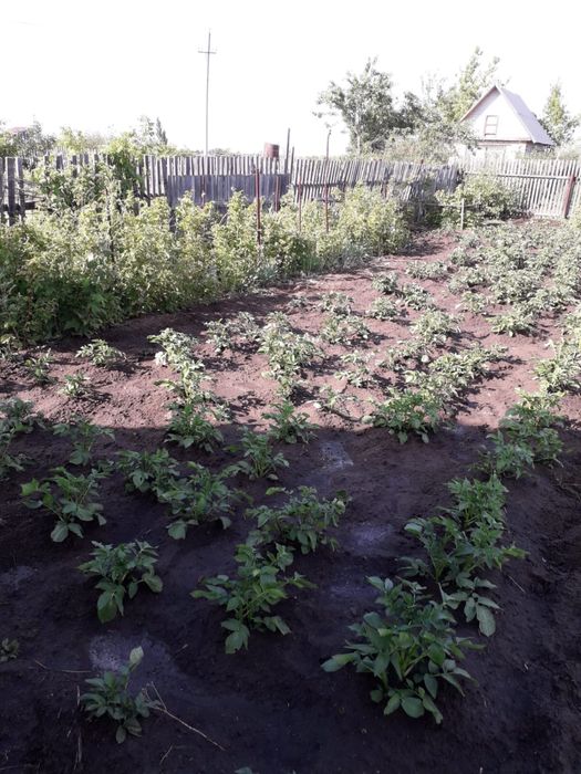 Продам дачу в обществе Дархан