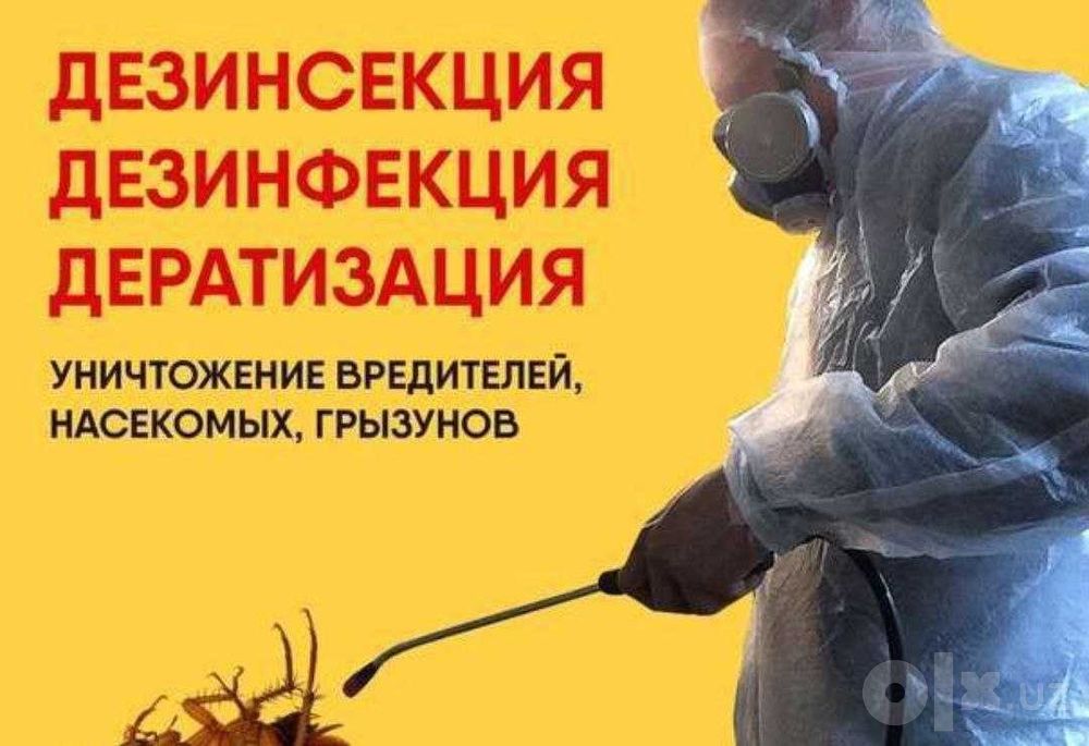 Дезинфекция от вредителей дезинсекция dizinfeksiya dezinfeksiya klapa