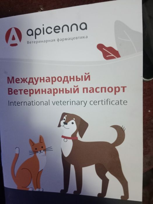 Немецкая овчарка