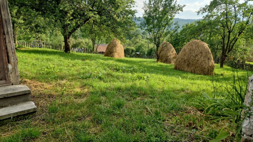 Vând teren in Valea Doftanei