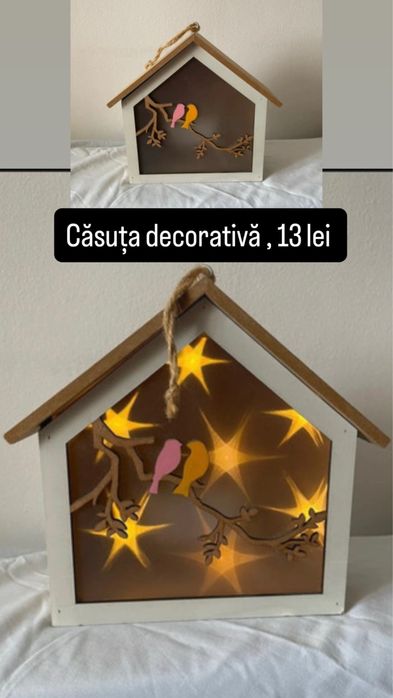 Geanta + casuta