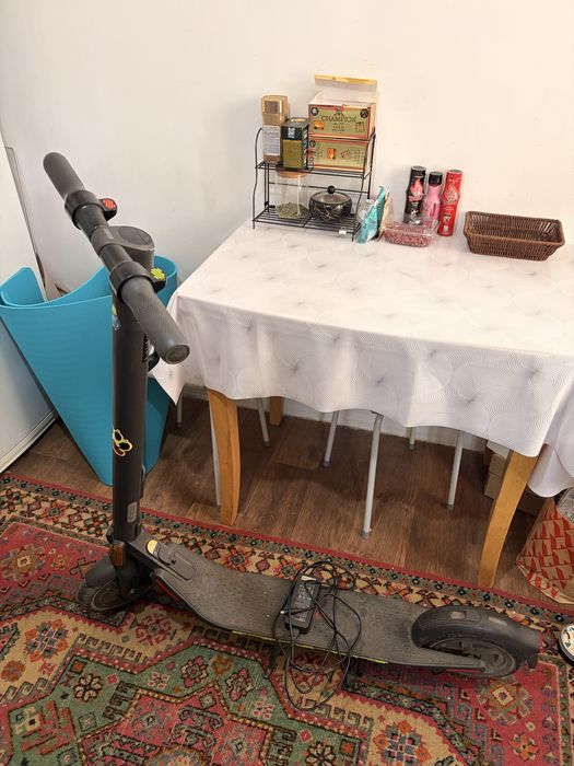 Электро самокат Ninebot E22D
