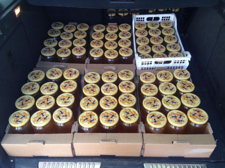 Пчелен мед реколта 2025