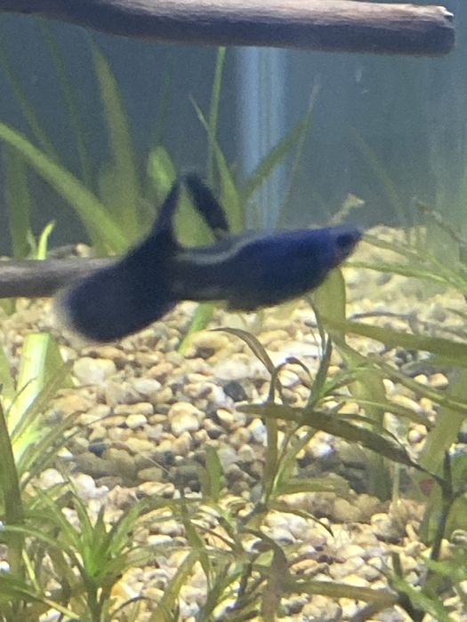 Продам аквариум 160литр