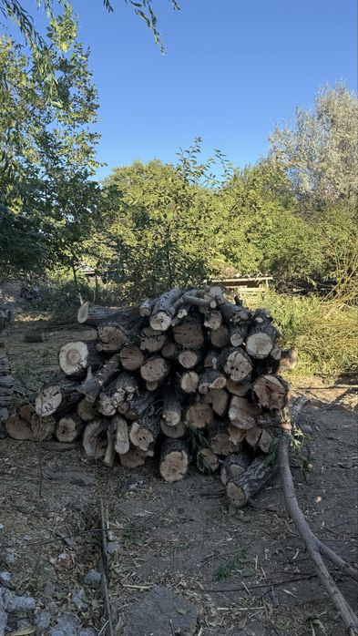 Отын ағаш сатылады!