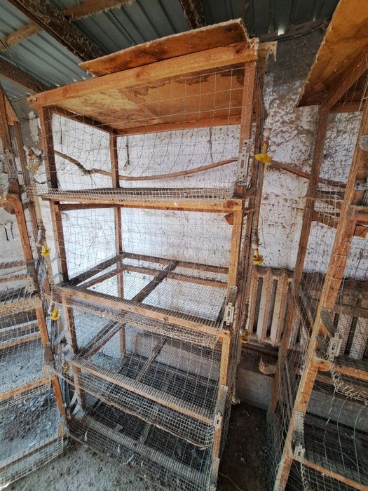 Тауыққа сетка бар сатылатын