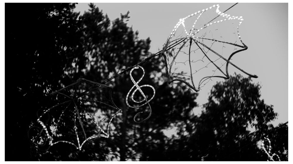 Фотосессия и видиосьемка