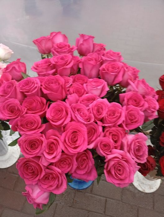 Балқашта Роза гүл сатылады