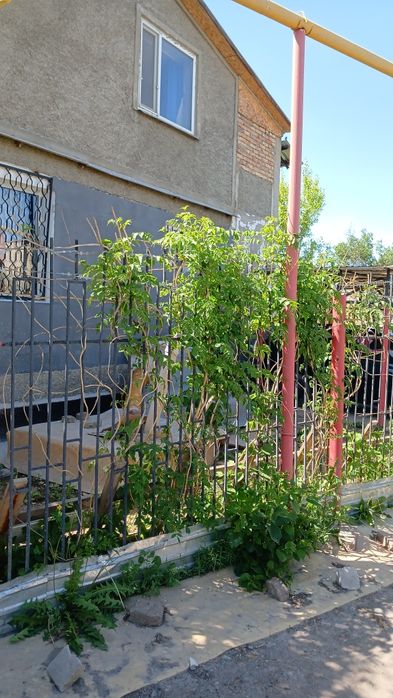 Дача механизатор