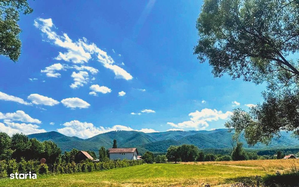 Teren intravilan 1000 mp Tocile, panoramă superbă spre munți